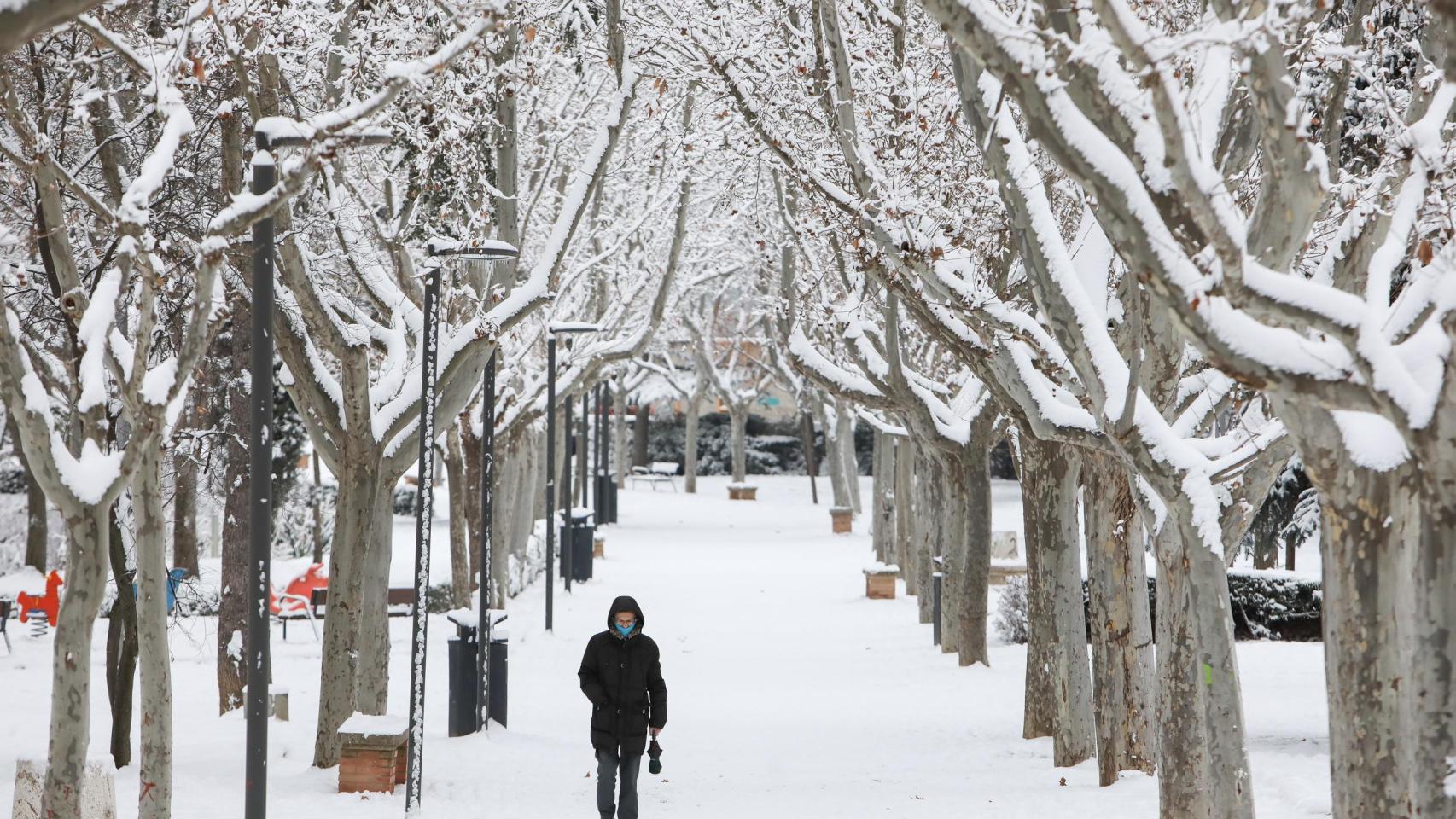 Teruel nevado.
