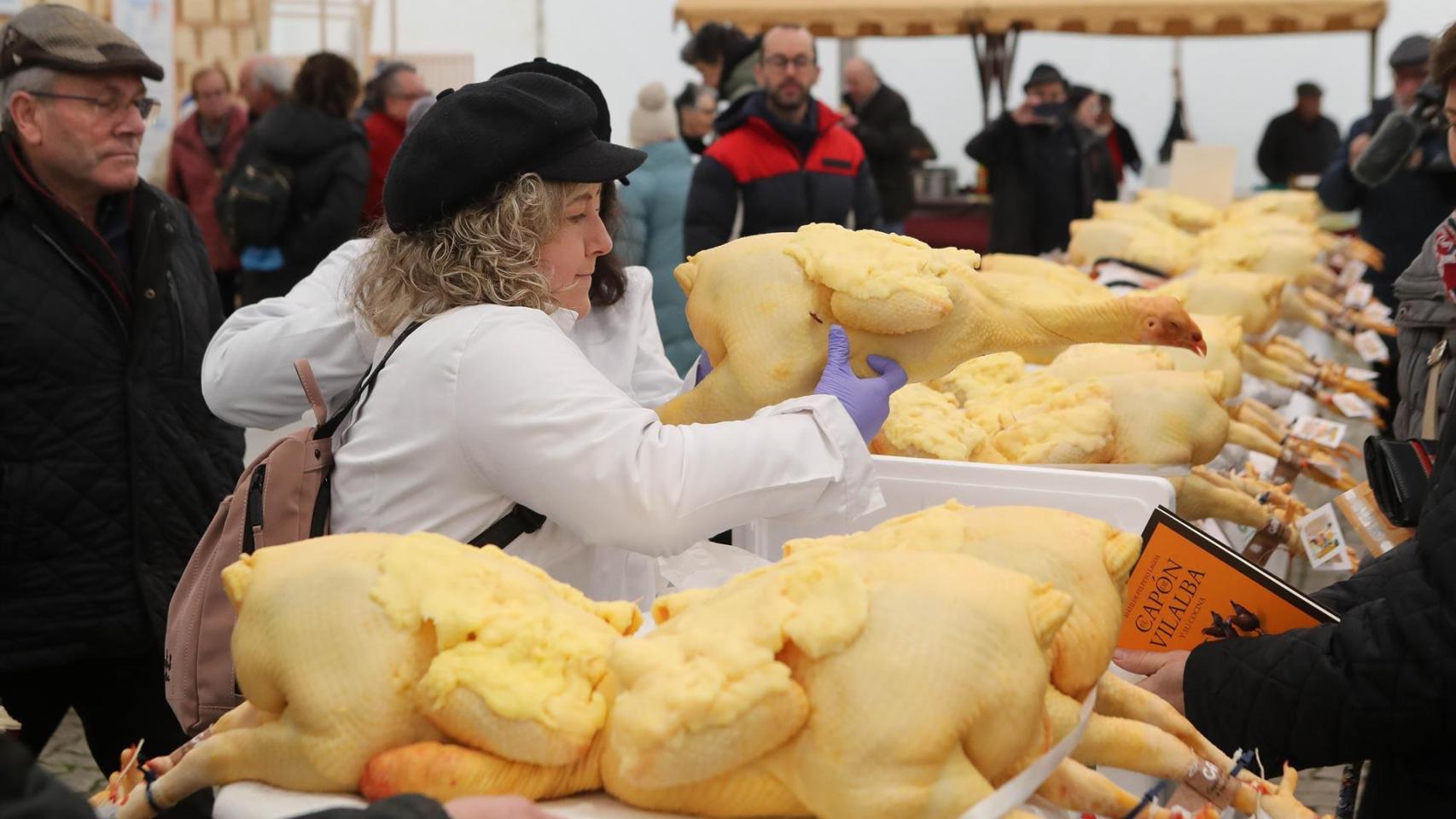Cientos de ejemplares de capón en la Feria del Capón de Vilalba (Lugo)