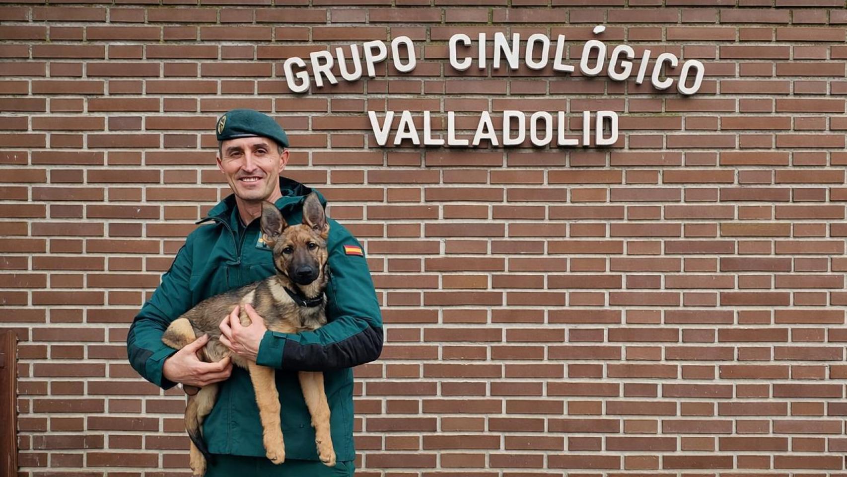 Jesús, el agente del Servicio Cinológico de la Guardia Civil de Valladolid sosteniendo a uno de sus compañeros.