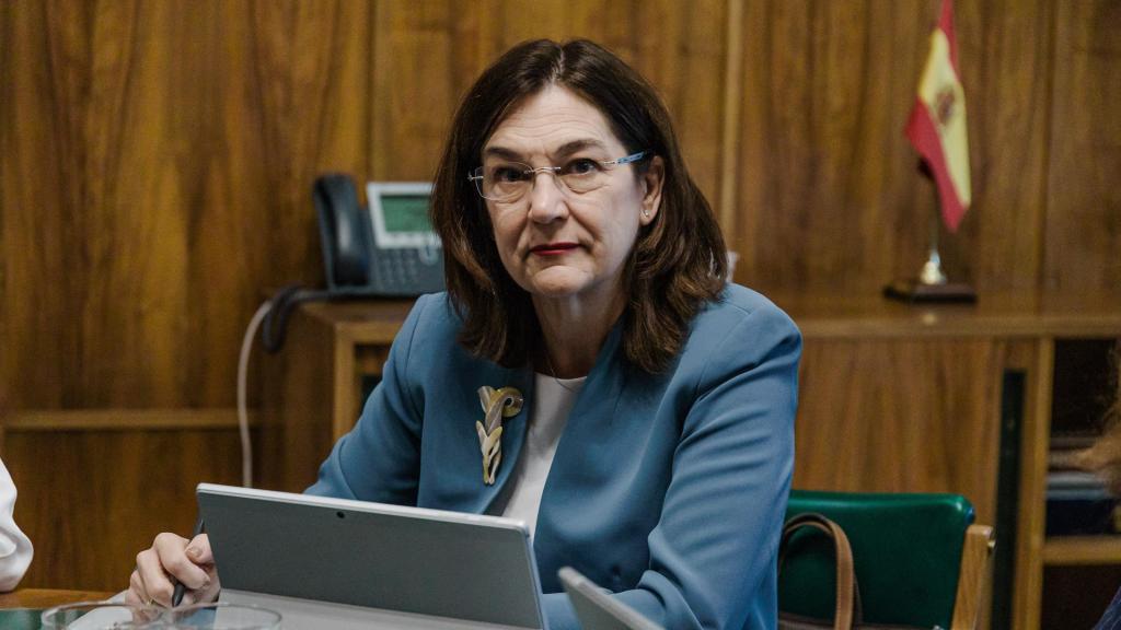 Cani Fernández, presidenta de la Comisión Nacional de los Mercados y la Competencia (CNMC). Foto: Carlos Luján / Europa Press.