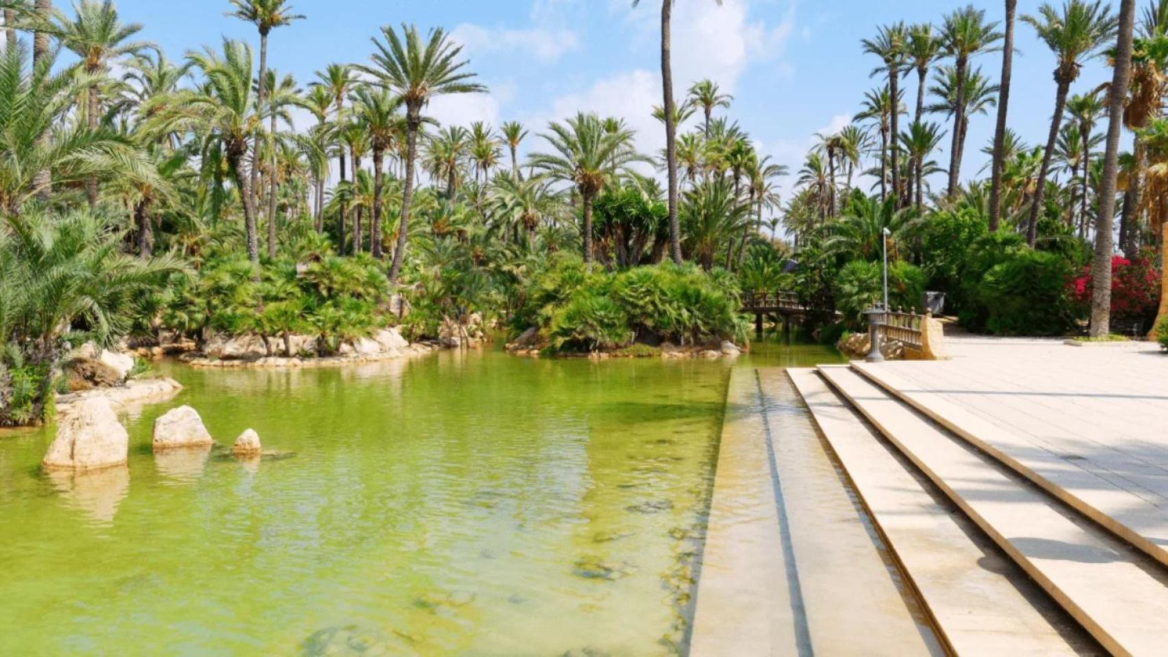 Parque El Palmeral de Alicante.