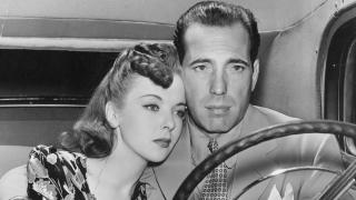 MV5BMDgwMjU5NWEtYTk1NC00OWI2LWIxNDEtYWM3MDc0ZGI4NTBhXkEyXkFqcGc@._V1_FMjpg_UY3975_