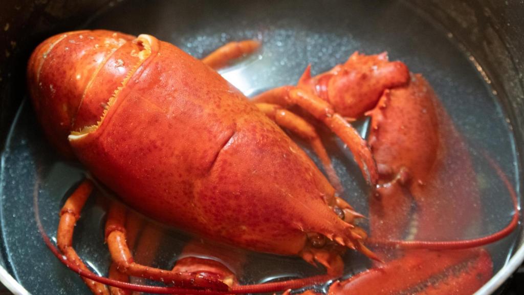 Una langosta al fuego.