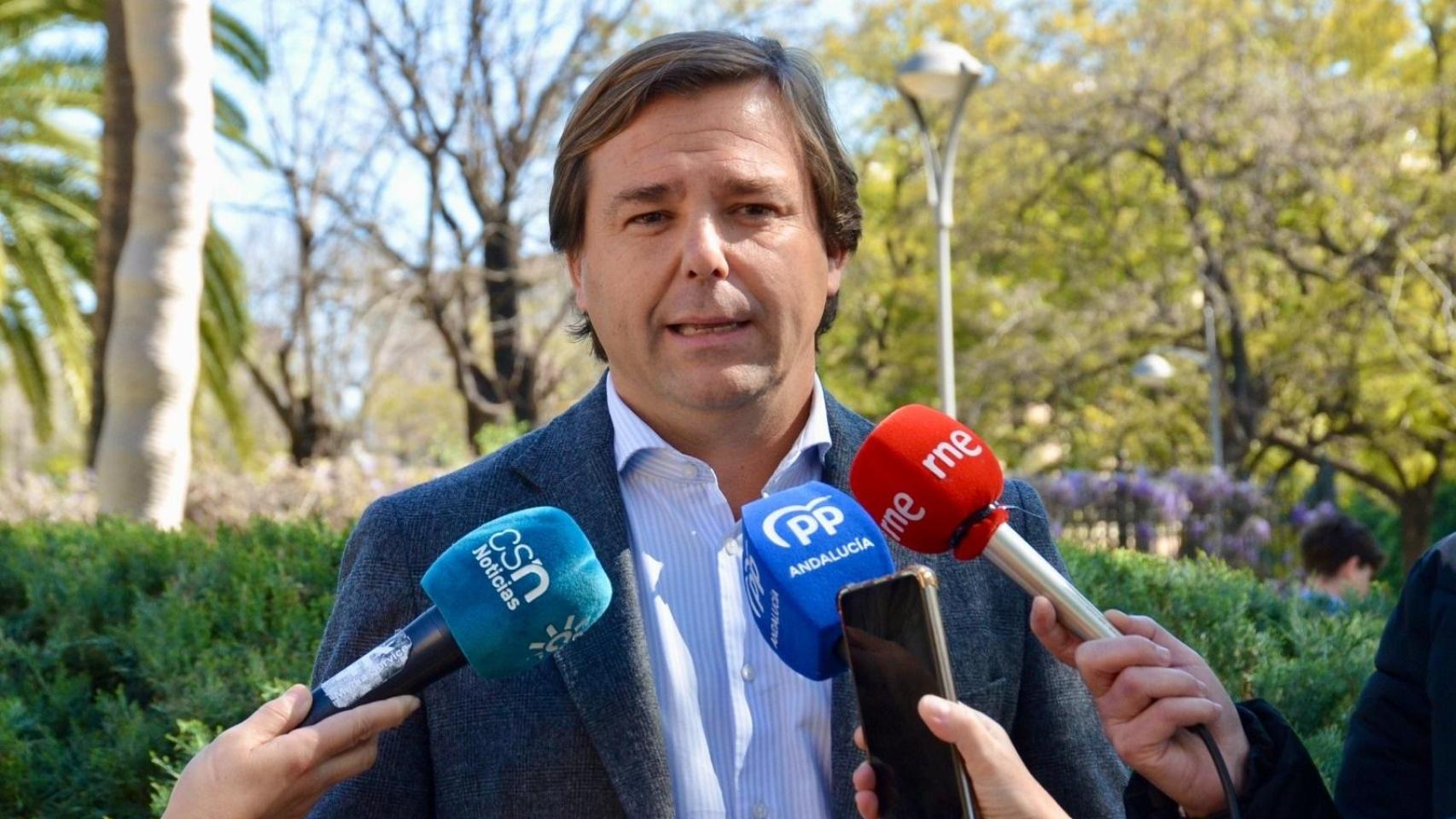 Antonio Repullo, secretario general del PP andaluz.