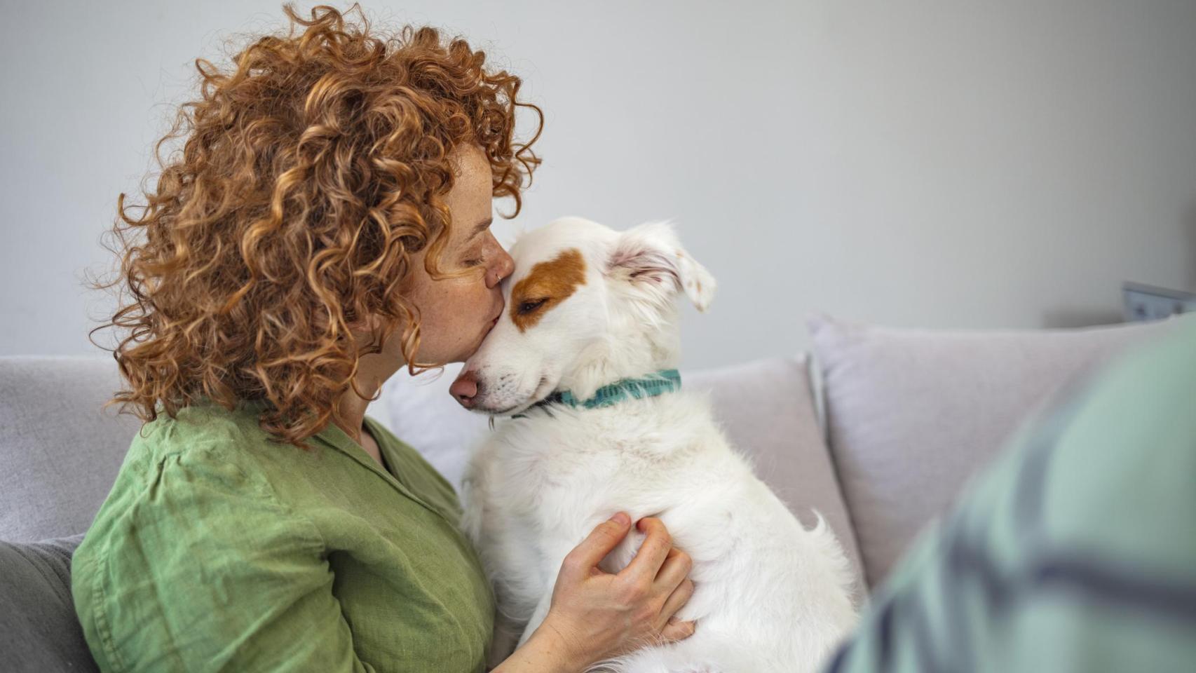 Un perro con una chica.