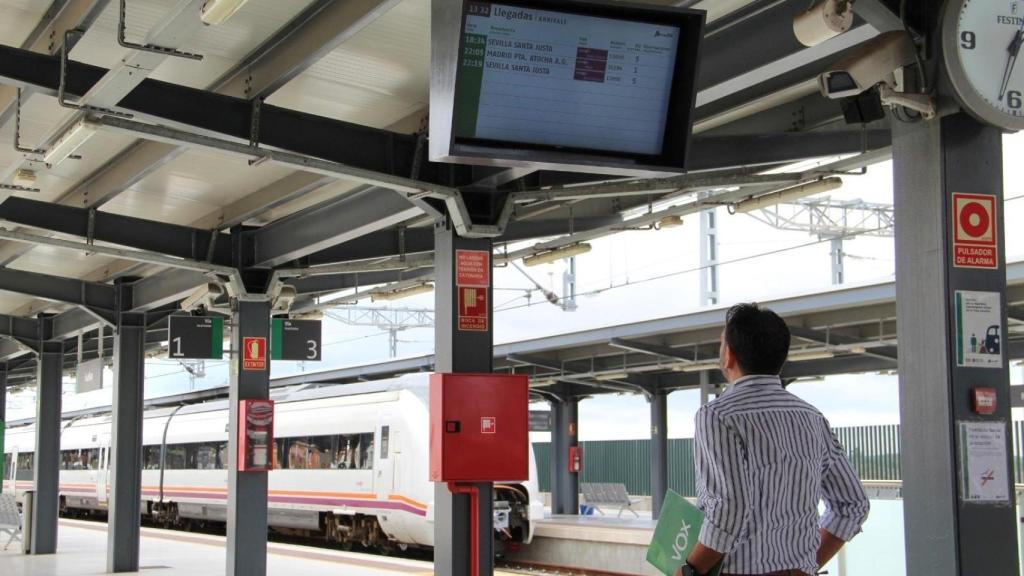 Un pasajero, ante las pantallas de información de lo trenes.