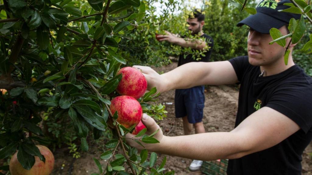 Fran y su primo José Manuel.