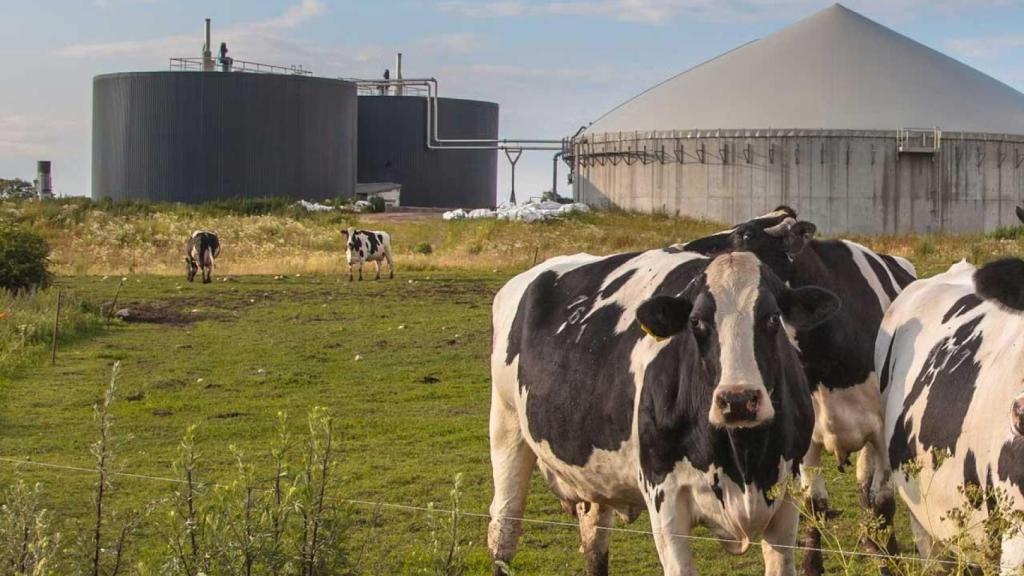 Biometano en Castilla y León: el reto de la aceptación social