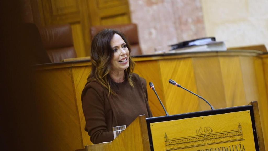 La consejera de Vivienda, Rocío Díaz.