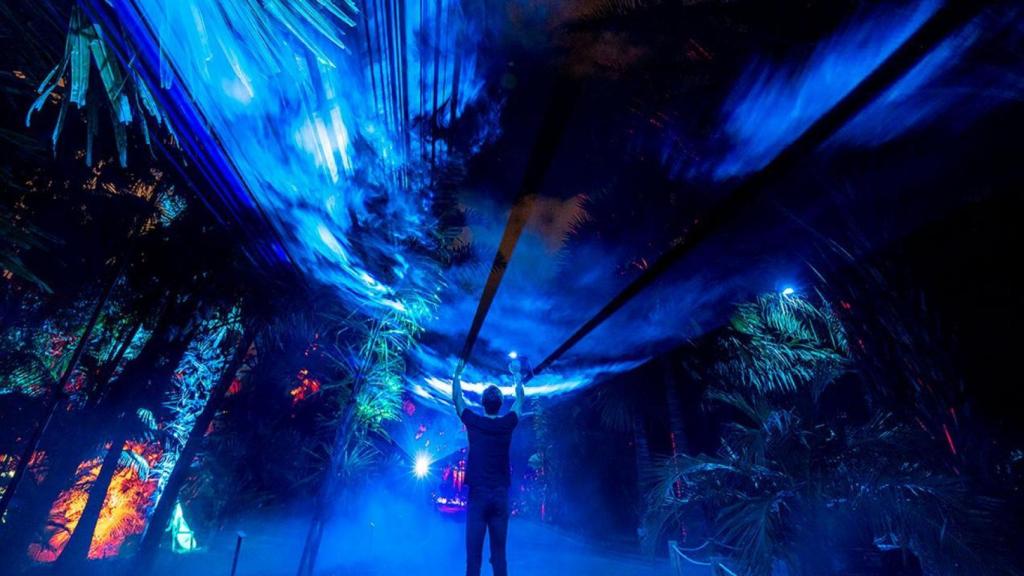 Espectáculo lumínico de Naturaleza Encendida.