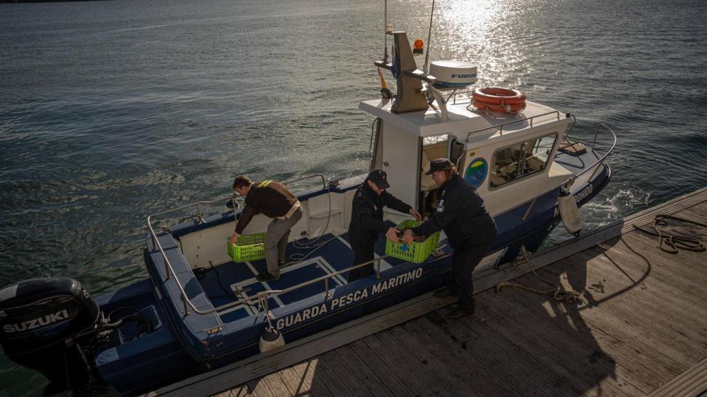 Imagen de un decomiso de Guardacostas.