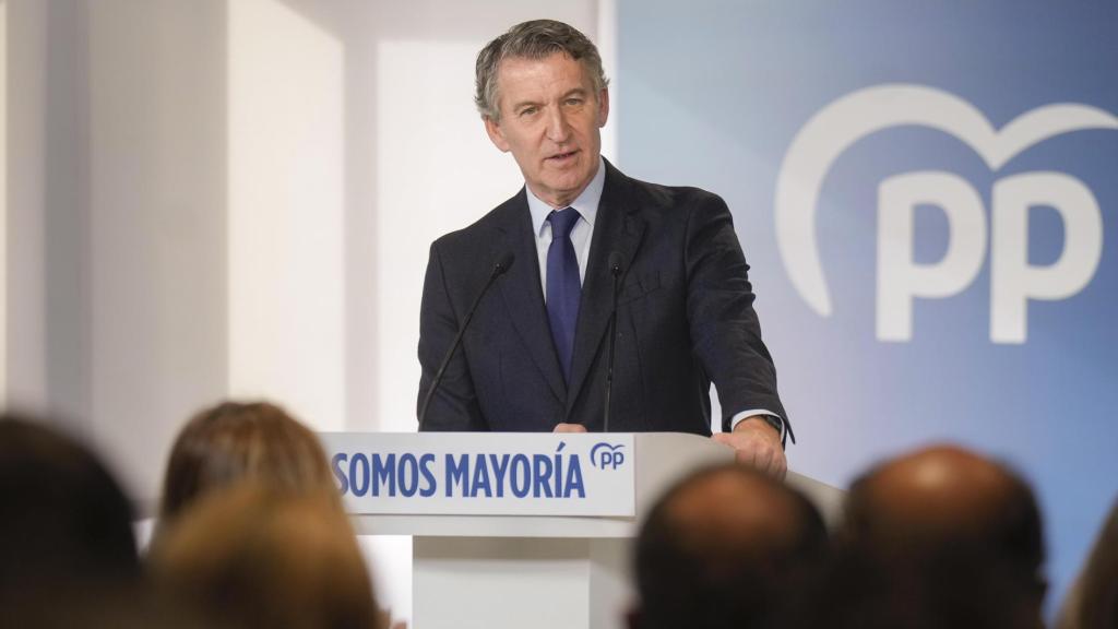 El presidente del Partido Popular, Alberto Núñez Feijóo.