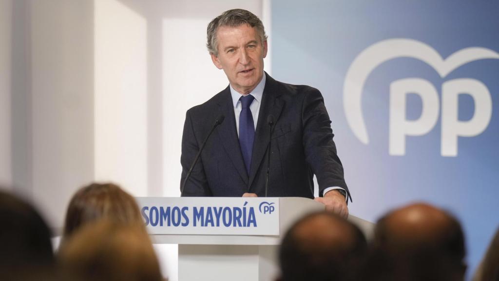El presidente del Partido Popular, Alberto Núñez Feijóo.