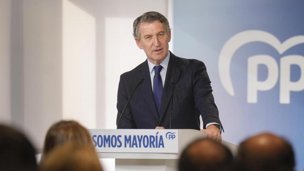 El presidente del Partido Popular, Alberto Núñez Feijóo.