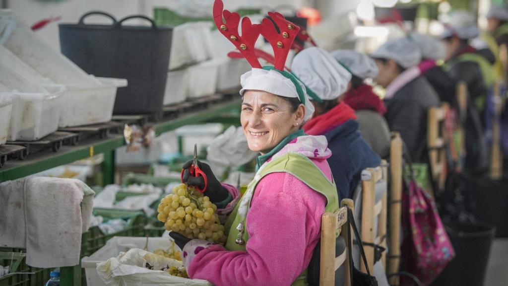 Las trabajadoras del almacén de Antonio Berna preparan las cajas de uva para la Nochevieja.