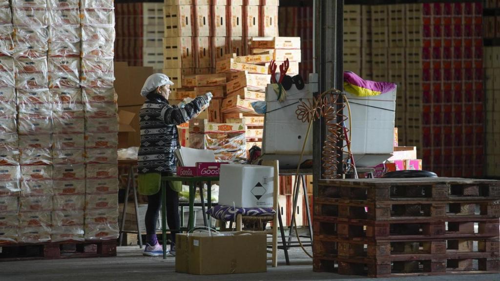 El almacén de uva Antonio Berna en Monforte del Cid, Alicante.