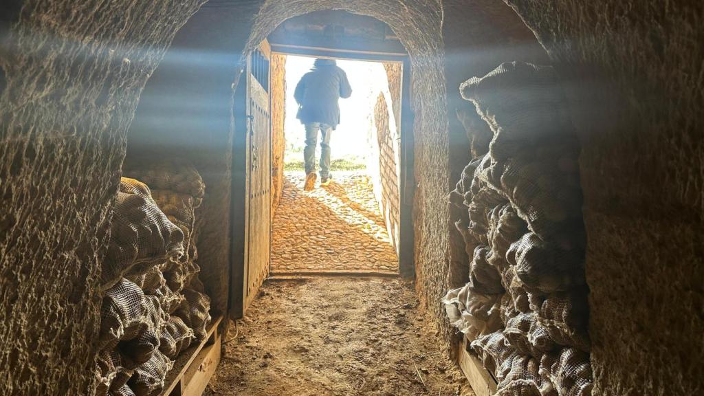Sacos de patatas cultivadas y almacenadas en la bodega de Gordón.