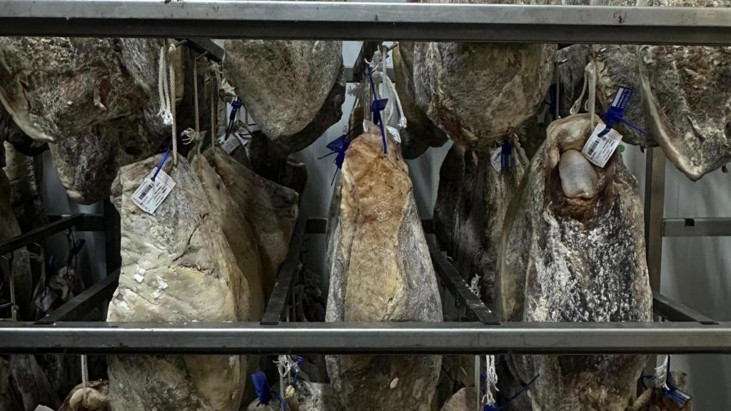 Cecina curándose en la nava de operaciones de El Capricho.