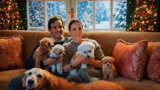 Imágenes del día: la original felicitación navideña de Tamara Falcó e Íñigo Onieva junto a sus cinco perros