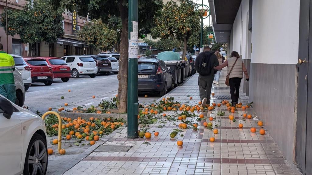 Naranjas en el suelo.