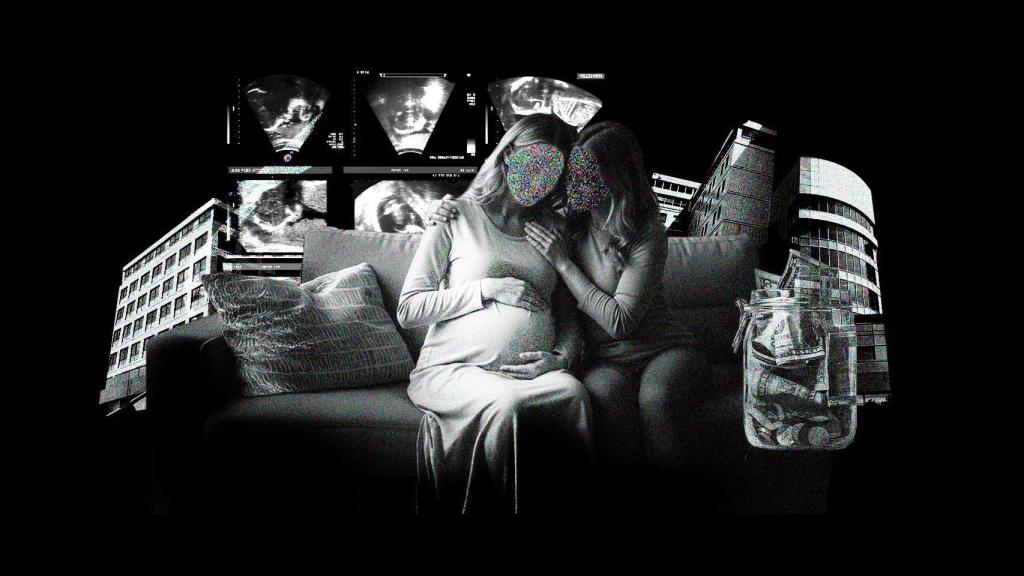 Las doulas son figuras que no tienen ningún tipo de formación sanitaria reconocida.