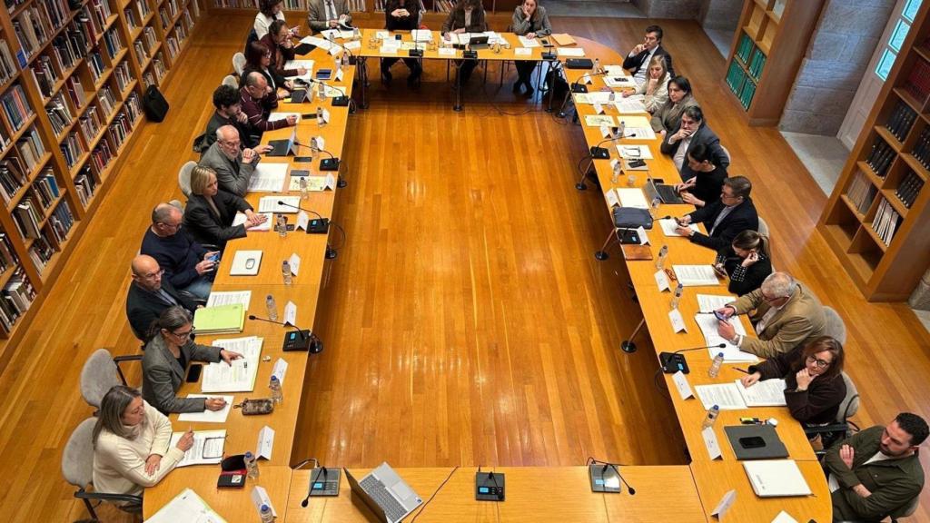 Imagen del último pleno.