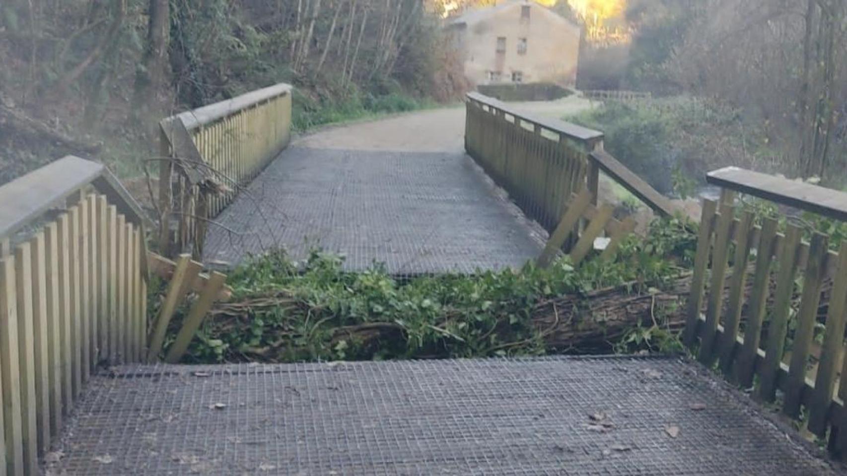 Imagen de la pasarela afectada.