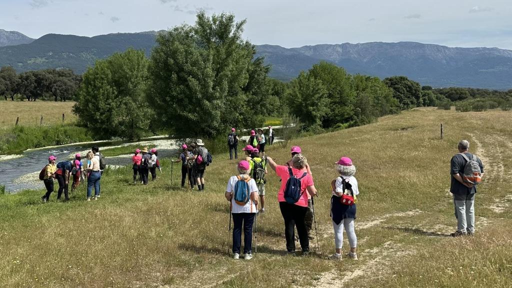 Foto de recurso de uno de los paseos de ediciones anteriores.