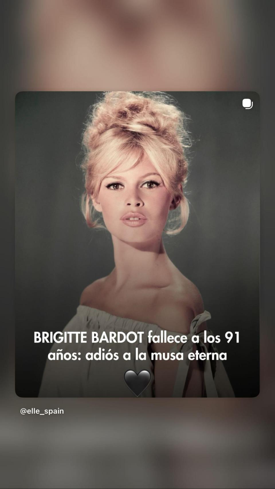 La despedida de Jady Michel a Brigitte Bardot en Instagram.