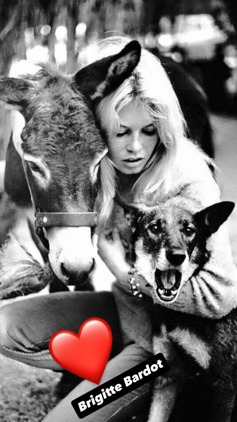 La despedida de Mónica Cruz a Brigitte Bardot en Instagram.