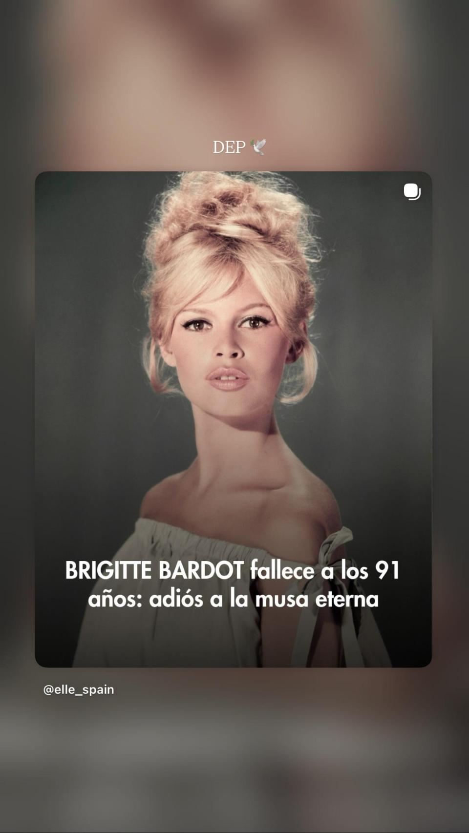 La despedida de Paula Ordovás a Brigitte Bardot en Instagram.