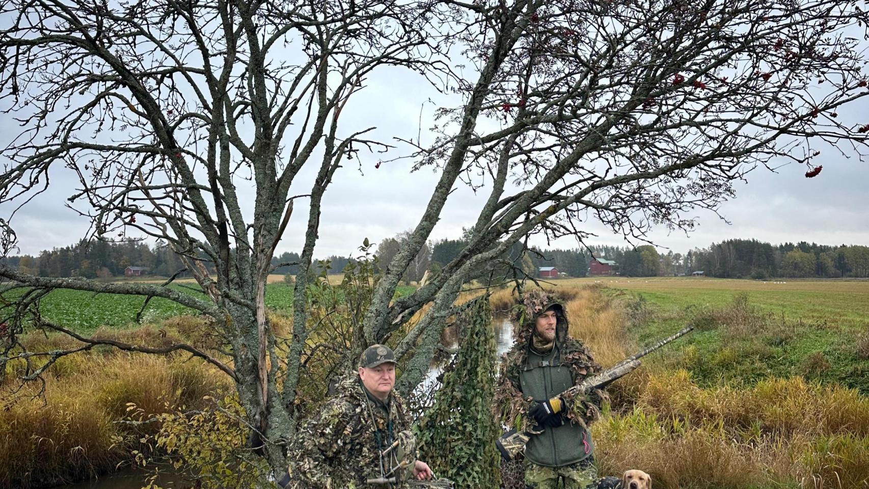 Ari Ruoho, una mañana de caza junto a su amigo Mikael y su labrador Coco.