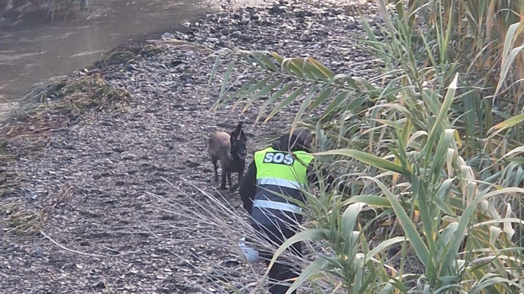 Una imagen del equipo de búsqueda.