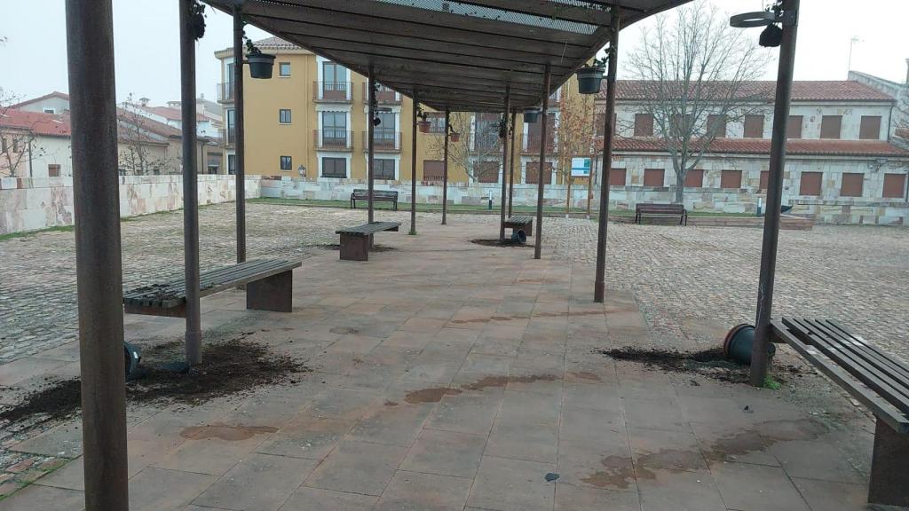 Ataque vandálico en las nuevas jardineras de San Martín