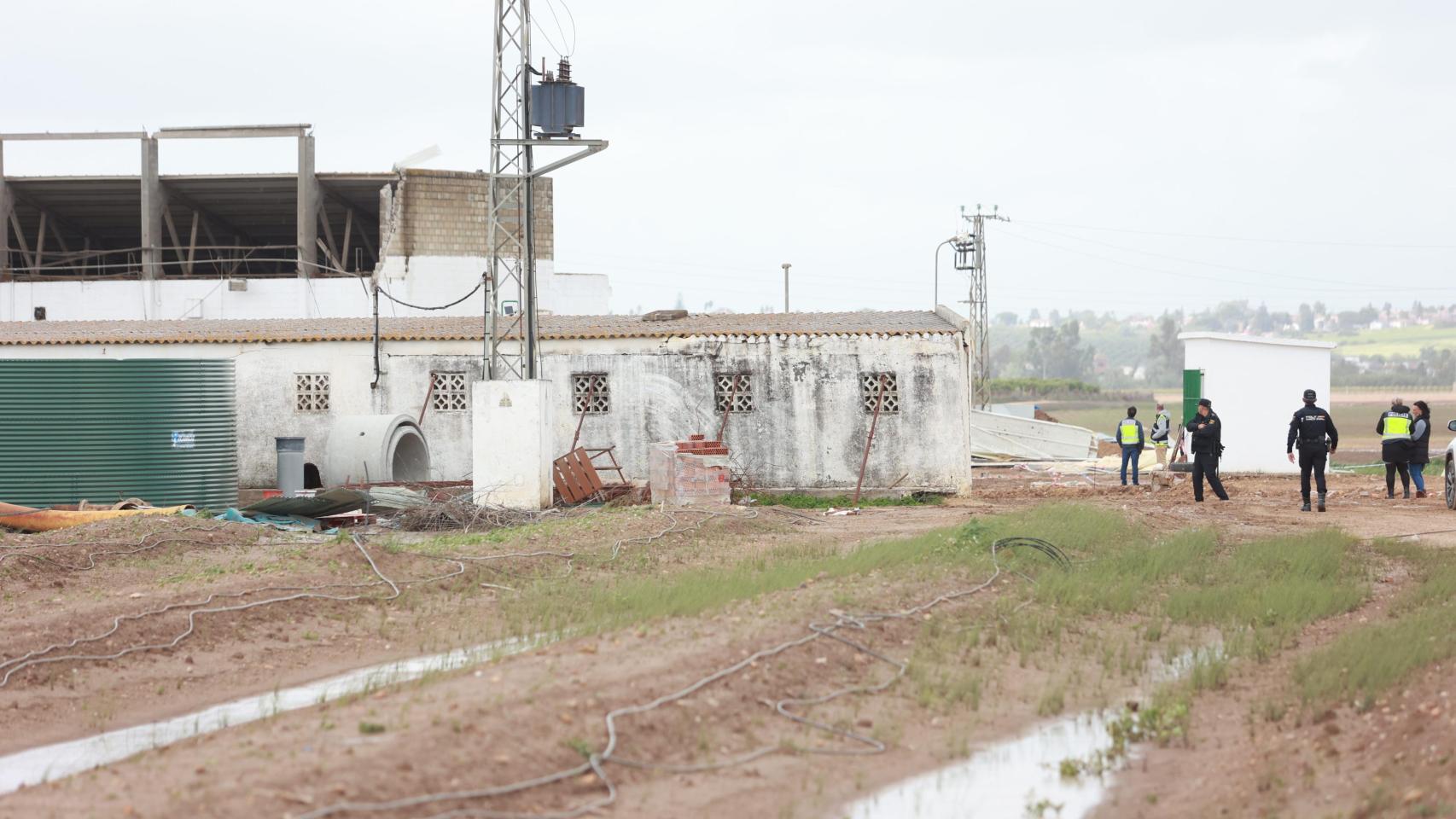 Imágenes de la nave cuyo techo se derrumbó, provocando tres víctimas mortales en Coria del Río.