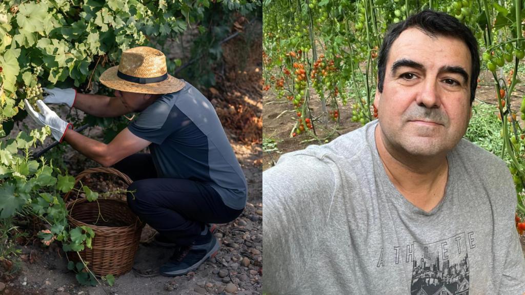 Andrés Góngora, agricultor de COAG y productor de tomates
