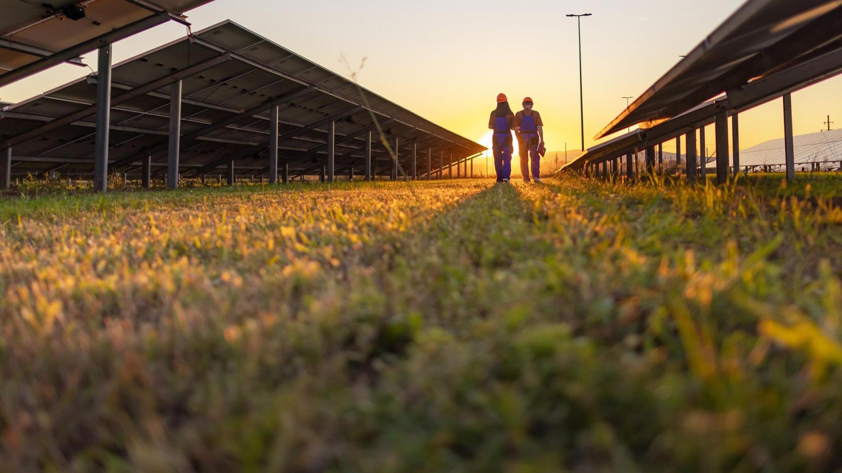 Un planta solar fotovoltaica.
