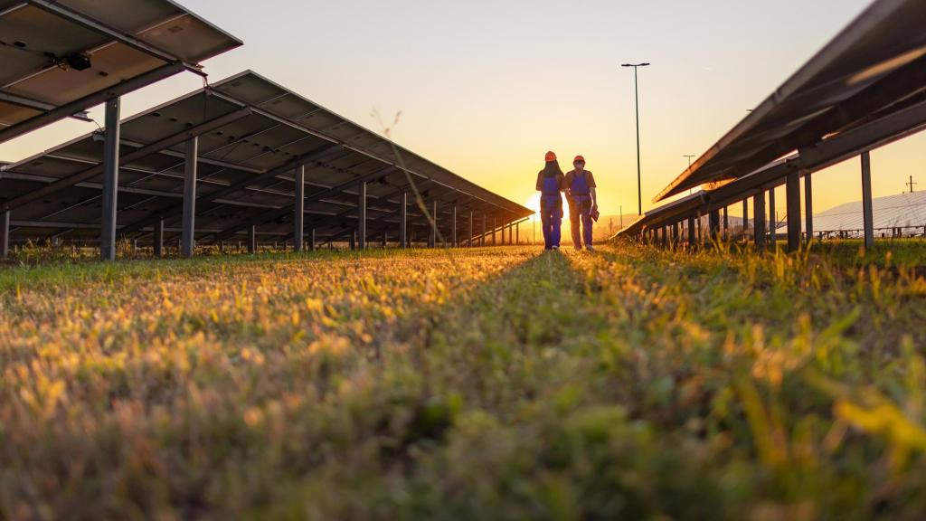 Un planta solar fotovoltaica.