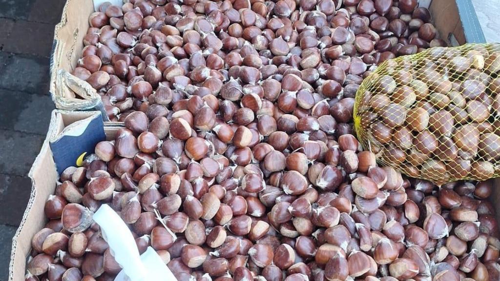 Avellanas de Romería.