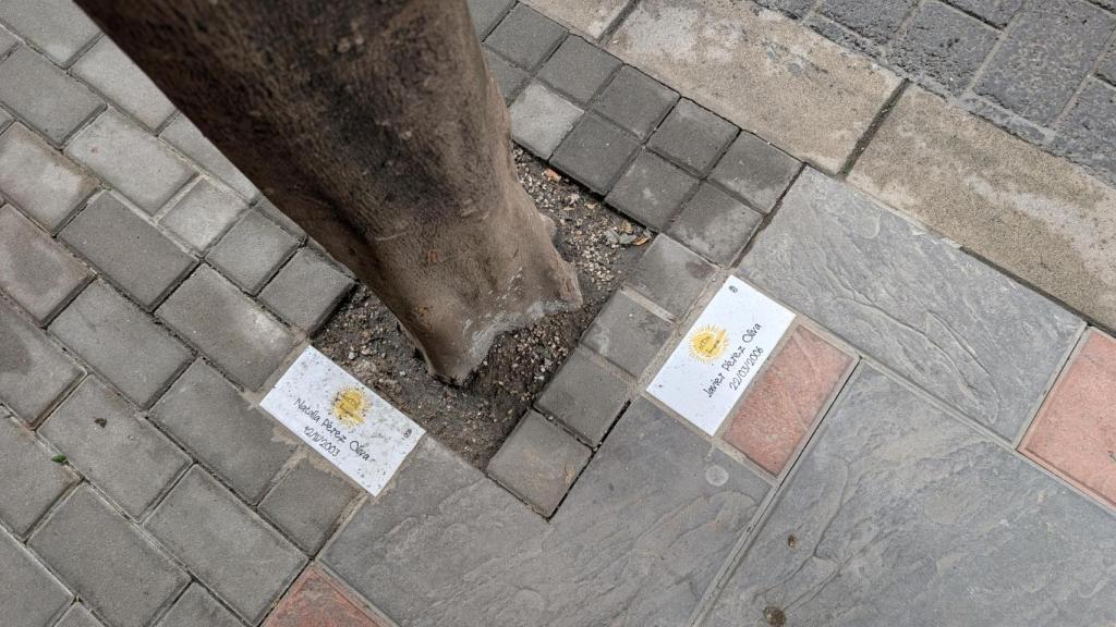 Un árbol con los nombres de dos hermanos.