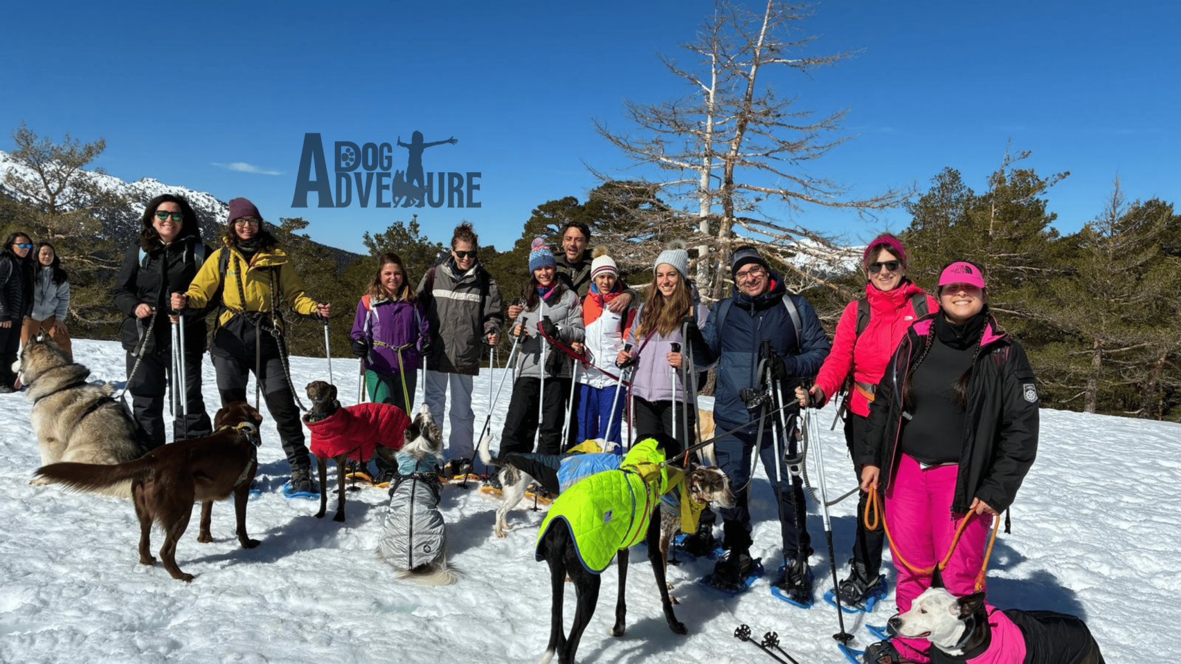 Grupo de personas haciendo raquetas de nieve con sus perros.
