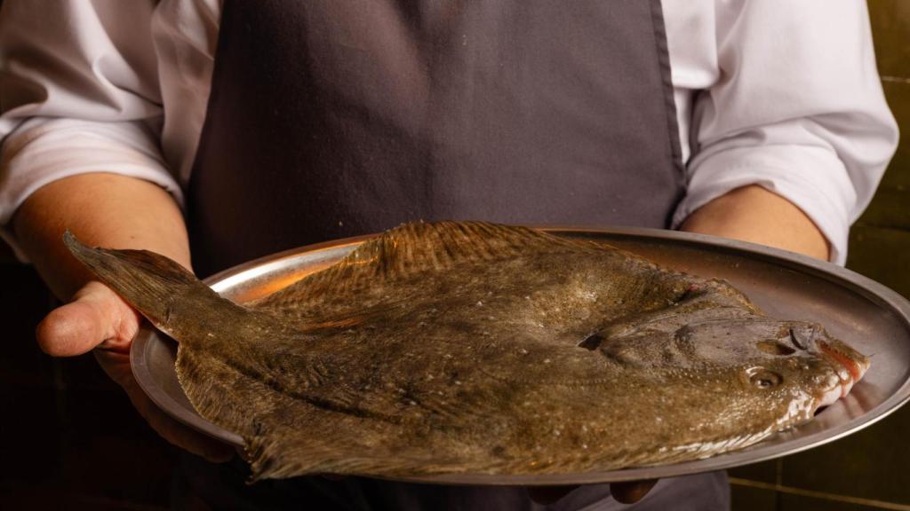 El rodaballo es uno de los pescados que pasan por la brasa de Qorte.