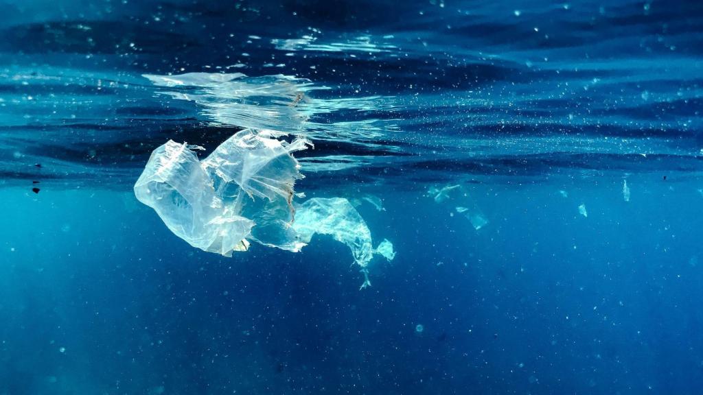 Un trozo de plástico en el mar.