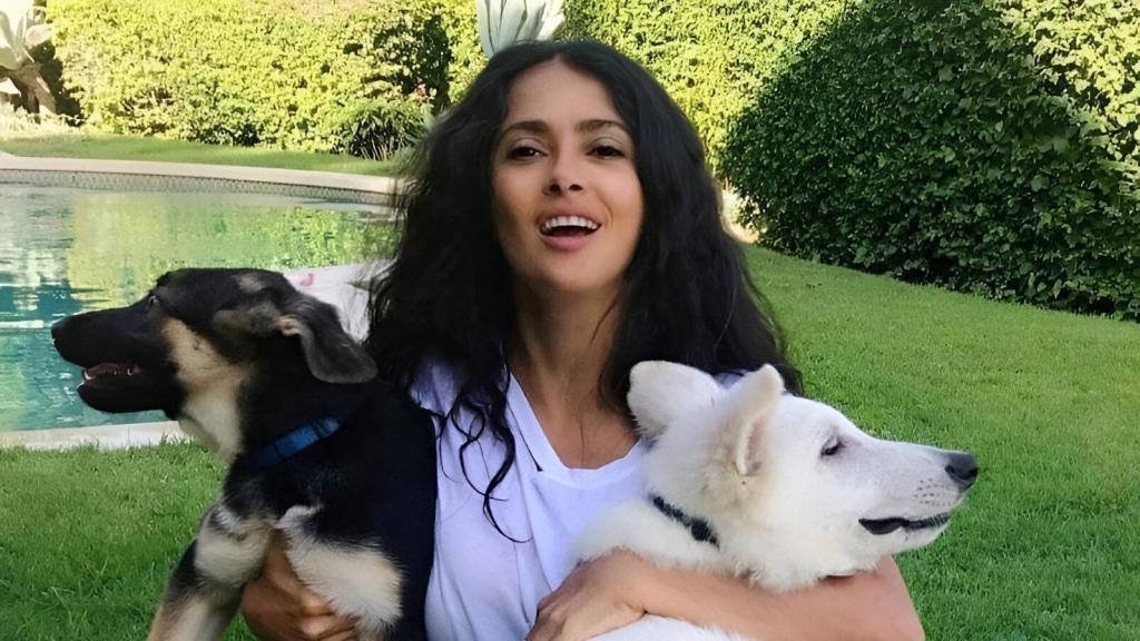 Salma Hayek (59), actriz, con sus dos perros rescatados.
