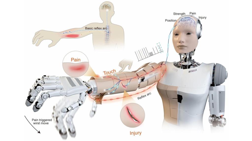 Diseño de una piel artificial para robots