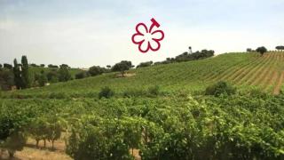 1003744046422_260365697_1706x960