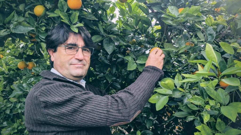 José Vicente Andreu, esta semana en un campo de naranjas en la Vega Baja.