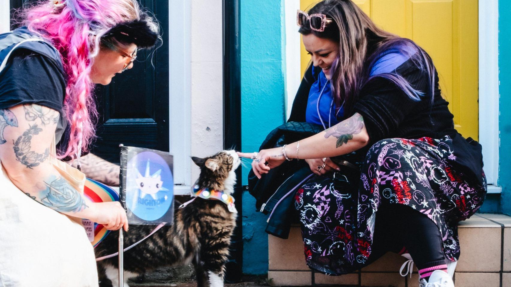 Una chica acariciando a un gato por la calle.