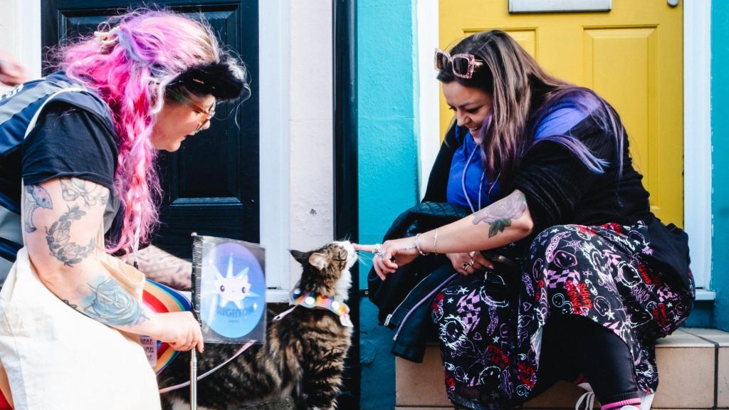Una chica acariciando a un gato por la calle.
