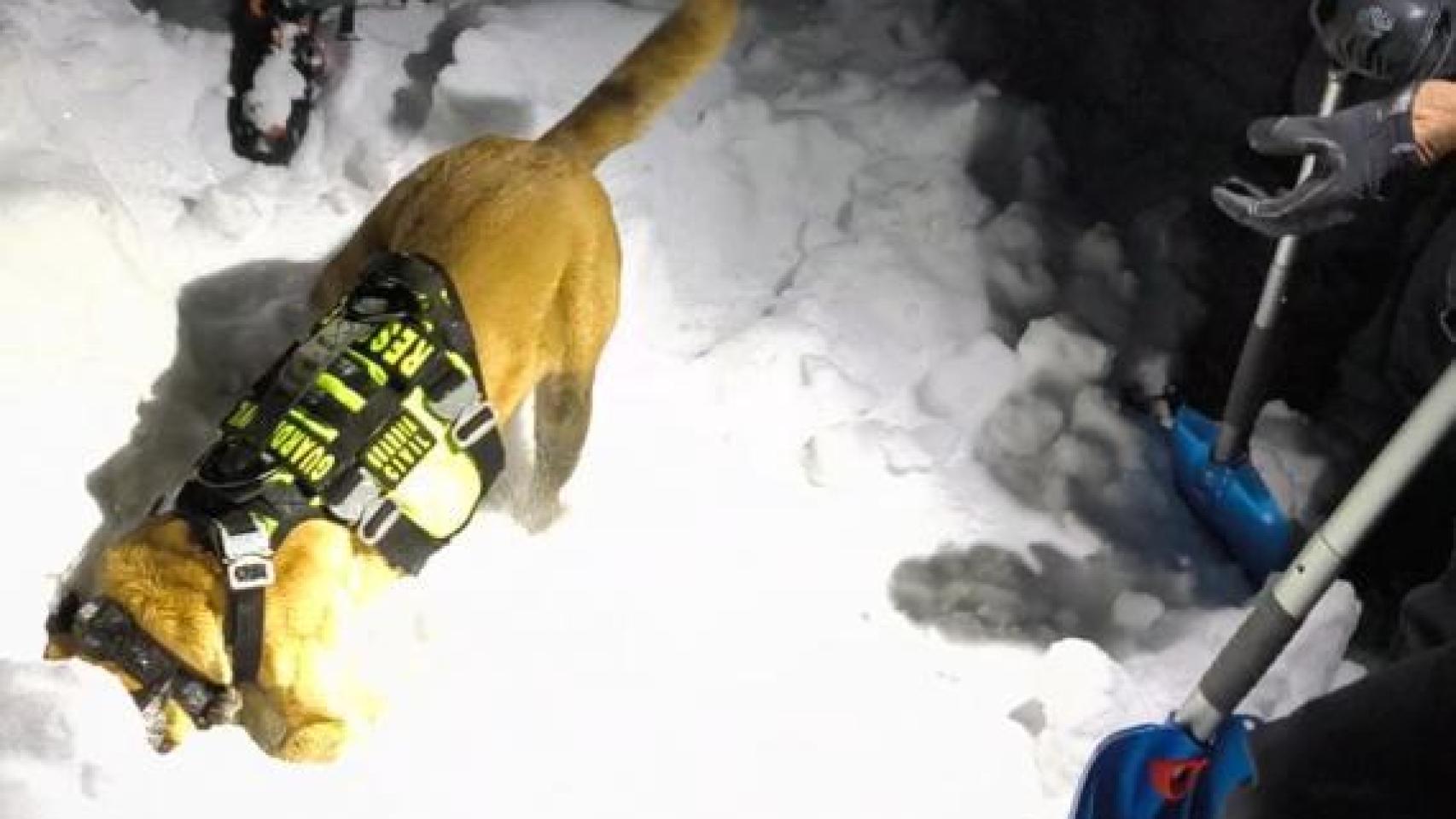 Rescate de la Guardia Civil al montañero fallecido en alud en Bielsa